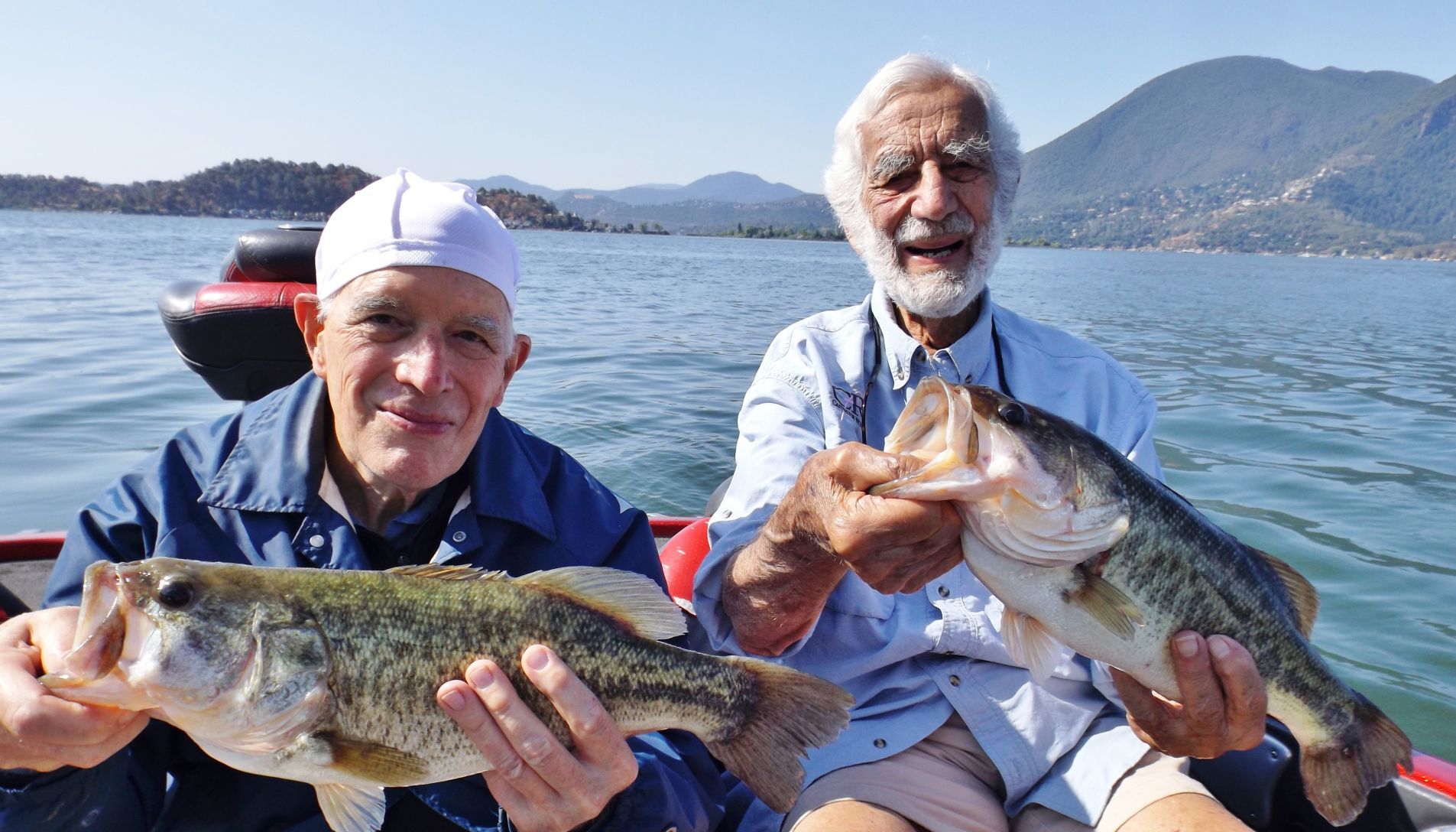 Alan Galbraith, Bill Ryan